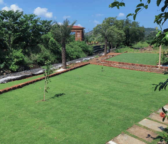 Play-area-2