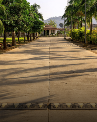 Tree-Lined-Cemented-Roads